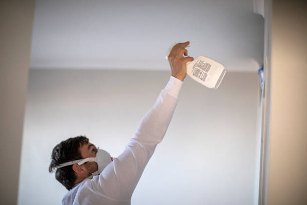 Best Same-Day Mold Removal  in Rmel Valley Village, CA