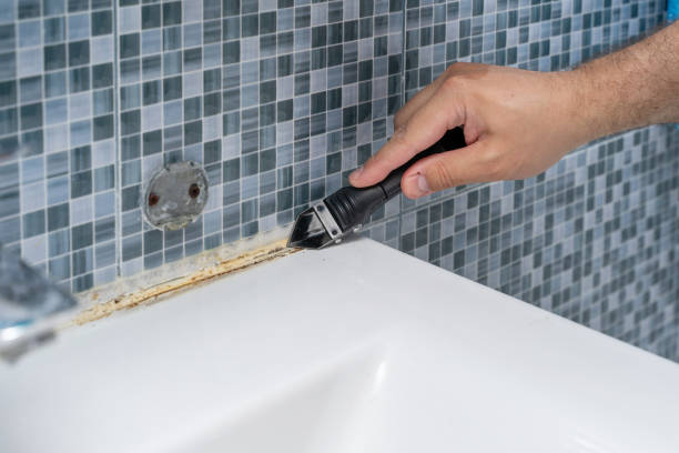 Best Mold Cleaning Services  in Rmel Valley Village, CA