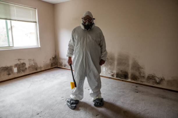 Home Mold Removal in Carmel Valley Village, CA